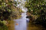 DOMINICA - Un fiume del nord arriva al mare